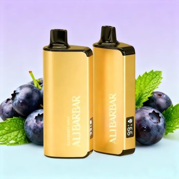Alibarbar INGOT 9000 Disposable Vape - BLUEBERRY MINT