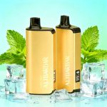Alibarbar INGOT 9000 Disposable Vape - COOL MINT