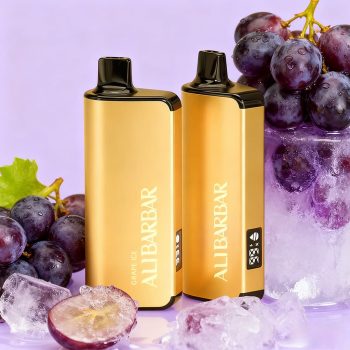 Alibarbar INGOT 9000 Disposable Vape - GRAPE ICE