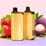 Alibarbar INGOT 9000 Disposable Vape - STRAWBERRY LYCHEE